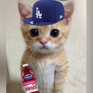 Meet your Posher, Raheem